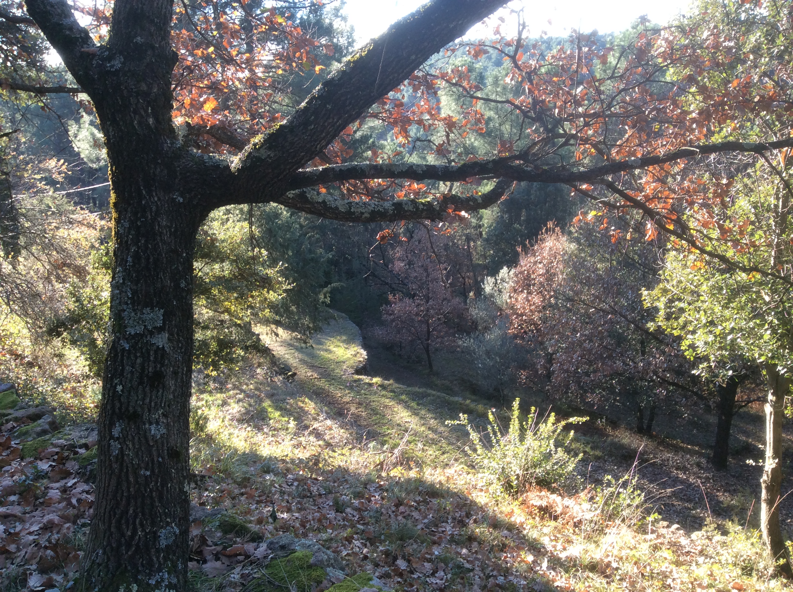 Janvier 2017  3 jardiniers: Agnès et Nicolas Bruckin du Jardin des Sambucs, et Jonny Bruce des pépinières Hessenhof
