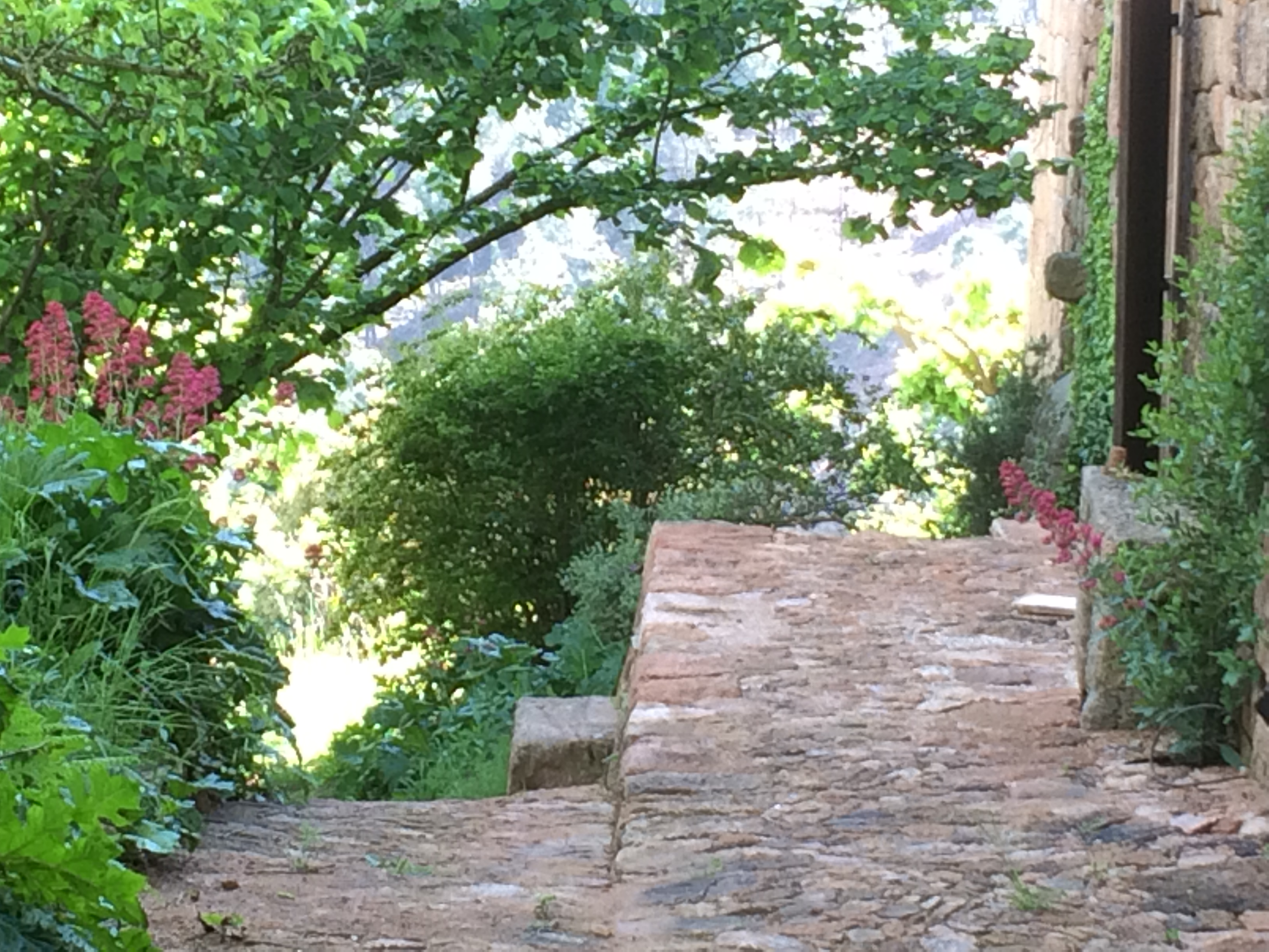 Mai 2017  Herboristes sur la colline…