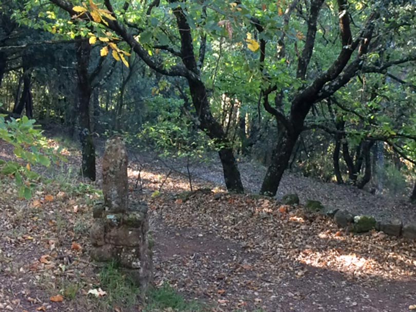 rousselonge-2018-colline