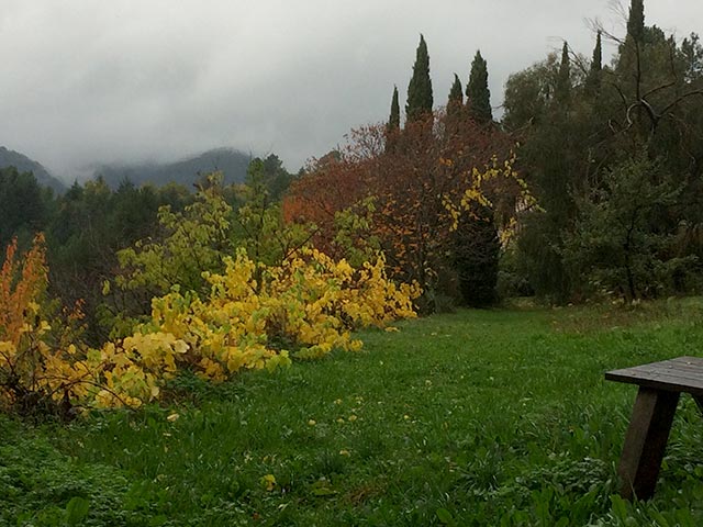 rousselonge-2018-couleurs-automne-2